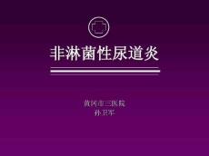 非淋菌性尿道炎8447