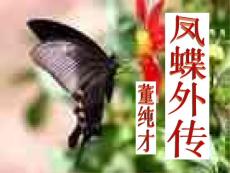 高中语文各单元课件-凤蝶外传
