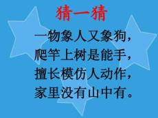 幼兒園課件幼兒園中班語言故事課件：小猴賣圈“O”PPT