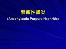 过敏性紫癜性肾炎