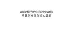 动脉粥样硬化和冠状动脉动脉粥样硬化性心脏病