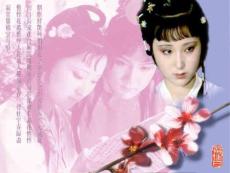 15紅樓夢_訴肺腑