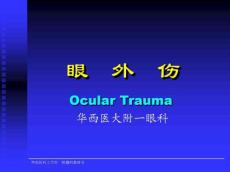 眼外伤幻灯