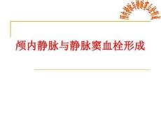 颅内静脉与静脉窦血栓形成PPT课件