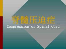 脊髓压迫症讲义(带图