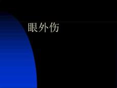 《眼外伤分析》PPT课件