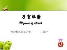 子宫肌瘤10683