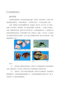 主要疫病防制技術(共享)