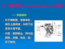 第四节颌骨骨髓炎