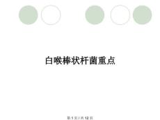 白喉棒状杆菌重点