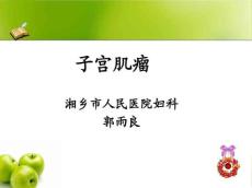 子宫肌瘤10691
