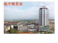 地中海贫血课件