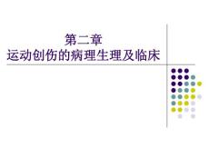 山东一医大运动创伤学课件02运动创伤的病理生理及临床