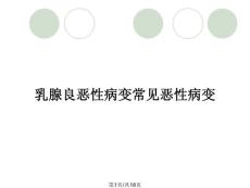 乳腺良恶性病变常见恶性病变