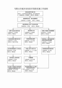 馬鞍山市城鄉居民醫療保險實施 工作 流程