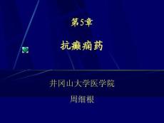 第5章  抗癫痫药 药理学课件—井冈山大学医学院