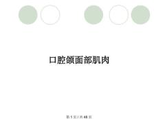 口腔颌面部肌肉