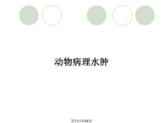动物病理水肿