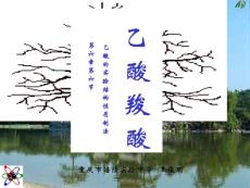 課件6-6乙酸 羧酸