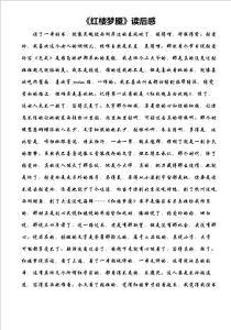 《红楼梦魇》读后感