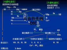 出血性疾病DICppt课件