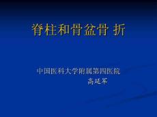 脊柱和骨盆骨折骨折
