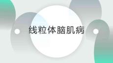 线粒体脑肌病PPT.ppt