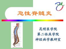 急性脊髓炎课件