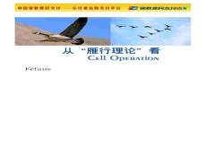 雁行理論之團(tuán)隊(duì)精神