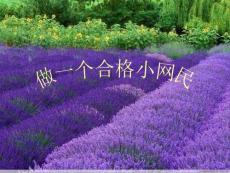 做一个合格小网名