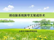 颈动脉系统狭窄介入治疗