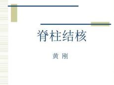 脊柱结核PPT模板