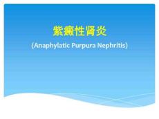 紫癜性肾炎PPT课件3824