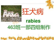 狂犬病课件