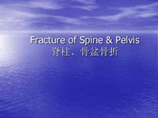 外科-脊柱、骨盆骨折