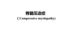(11.2)--神经病学精品课程PPT-10.脊髓压迫症