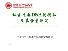 分子遺傳學(xué)實(shí)驗(yàn)-質(zhì)粒DNA提取