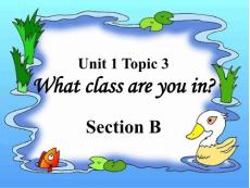 七年级英语上册 Unit 1 Topic 3 What class are you in Section B