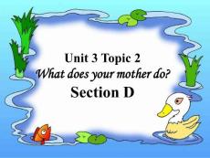 七年级英语上册 Unit 3 Topic 2 What does your mother do Section D