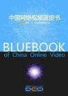 中国网络视频蓝皮书_DCCI互联网数据中心