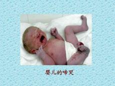 医学课件-第三章 人体的呼吸