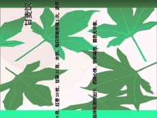 更年期综合症食疗方PPT课件