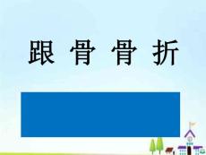 跟骨骨折(浅淡跟骨骨折的治疗)PPT课件2