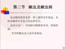 蛔虫及蛔虫病PPT课件2