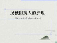 肠梗阻病人的护理_PPT课件2