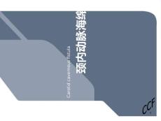 颈内动脉海绵窦瘘PPT课件