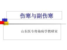 伤寒与副伤寒
