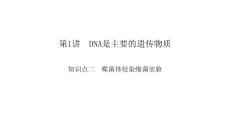 高三生物一轮复习课件噬菌体侵染细菌实验