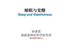 睡眠和觉醒节律