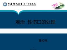难治性伤口的处理PPT课件